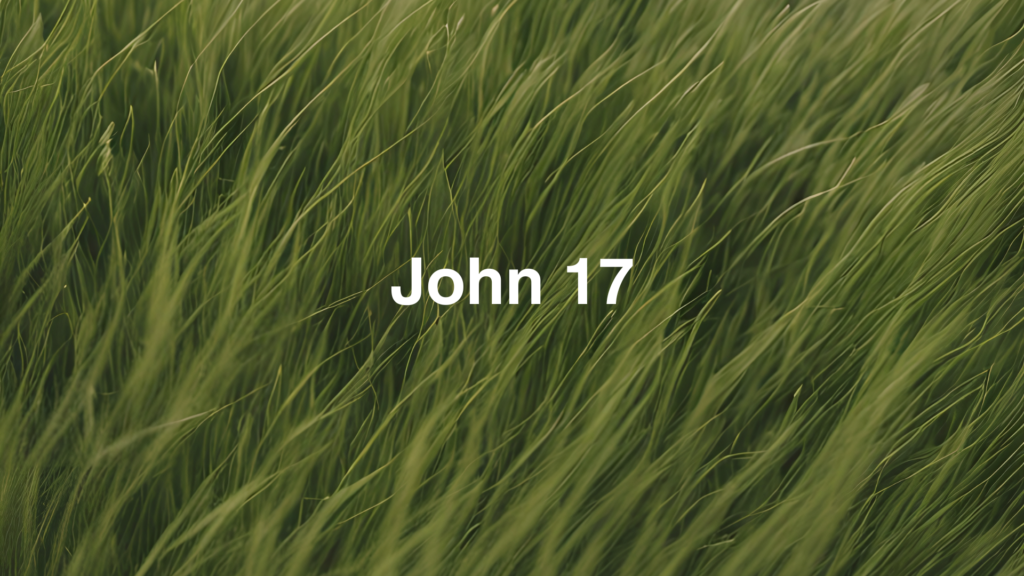 John 17