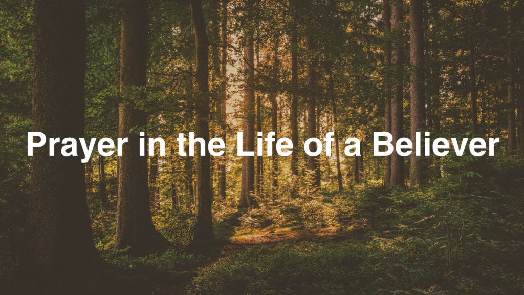 Prayer in the Life of the Believer