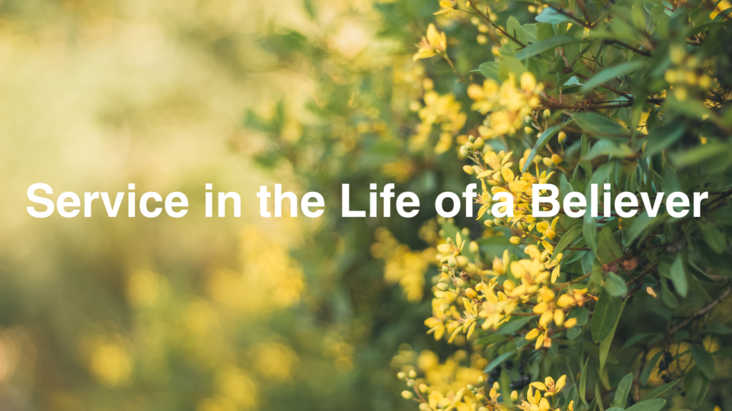 Service in the Life of the Believer