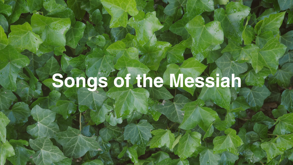 Songs of the Messiah: Jesus Christ in the Psalms