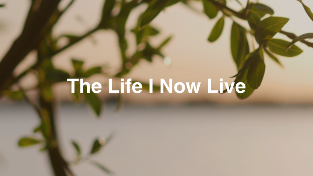 The Life I Now Live