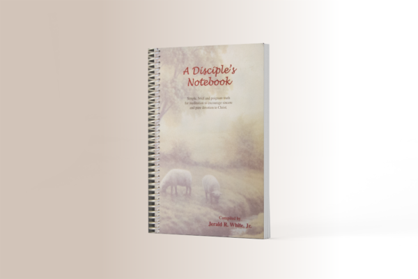 A Disciple's Notebook