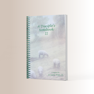 A Disciple's Notebook II