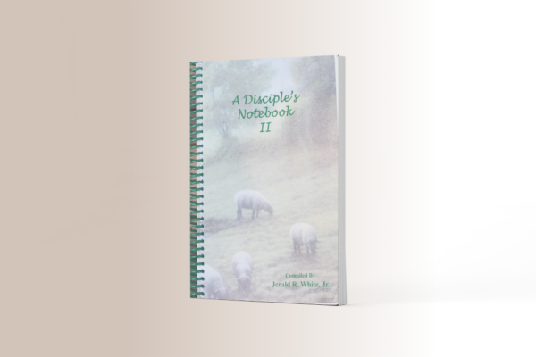 A Disciple's Notebook II